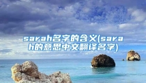 sarah名字的含义(sarah的意思中文翻译名字)