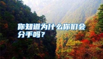 你知道为什么你们会分手吗？