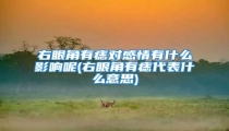 右眼角有痣对感情有什么影响呢(右眼角有痣代表什么意思)
