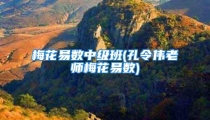 梅花易数中级班(孔令伟老师梅花易数)