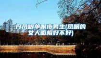 丹凤眼单眼皮男生(凤眼的女人面相好不好)