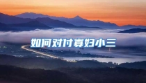 如何对付寡妇小三