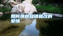 如何挽回知错就改的爱情