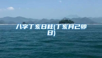 八字丁亥日柱(丁亥月己卯日)