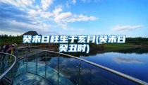 癸未日柱生于亥月(癸未日癸丑时)