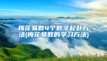 梅花易数4个数字起卦方法(梅花易数的学习方法)