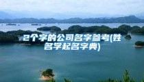 2个字的公司名字参考(姓名学起名字典)