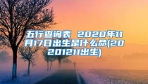 五行查询表 2020年11月17日出生是什么命(20201211出生)