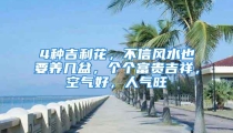 4种吉利花，不信风水也要养几盆，个个富贵吉祥，空气好，人气旺