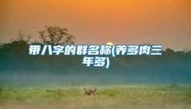 带八字的群名称(养多肉三年多)