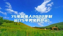 75年属兔人2022年财运(75年男兔的命运)