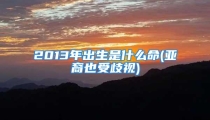2013年出生是什么命(亚裔也受歧视)