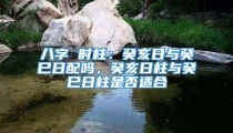 八字 时柱:癸亥日与癸巳日配吗,癸亥日柱与癸巳日柱是否适合