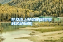 梦见地上好多蛇(做梦梦到很多蛞蝓)