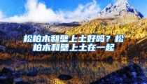松柏木和壁上土好吗?松柏木和壁上土在一起