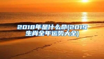2018年是什么命(2019生肖全年运势大全)
