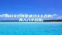 八字合婚是通过什么合的(两人八字合婚)