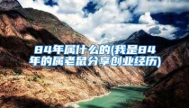 84年属什么的(我是84年的属老鼠分享创业经历)