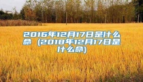 2016年12月17日是什么命 (2018年12月17日是什么命)
