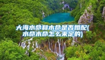 大海水命和木命是否婚配(水命木命怎么来定的)