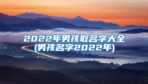 2022年男孩取名字大全(男孩名字2022年)
