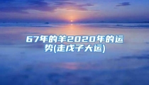 67年的羊2020年的运势(走戊子大运)