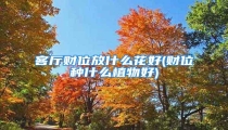 客厅财位放什么花好(财位种什么植物好)