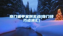 奇门遁甲案例实战(奇门技巧点滴汇)