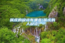 属虎的缺点有哪些(属虎的人缺点)