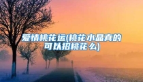 爱情桃花运(桃花水晶真的可以招桃花么)