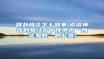 算卦梅花怎么回事(说说神奇的易经占卜预测术“梅花易数”的起源)
