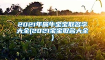 2021年属牛宝宝取名字大全(2021宝宝取名大全)