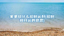 家里放什么招财运好(招财和开运的意思)
