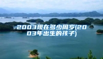 2003现在多少周岁(2003年出生的孩子)