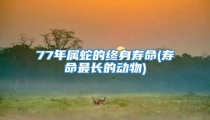 77年属蛇的终身寿命(寿命最长的动物)