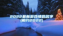 2022最新游戏情侣名字(相约2022)