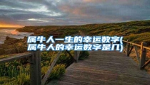 属牛人一生的幸运数字(属牛人的幸运数字是几)