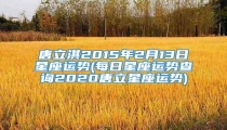 唐立淇2015年2月13日星座运势(每日星座运势查询2020唐立星座运势)
