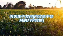 丙火生于亥月(丙火生于卯月的八字实例)