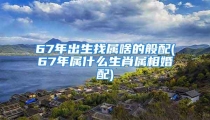 67年出生找属啥的般配(67年属什么生肖属相婚配)