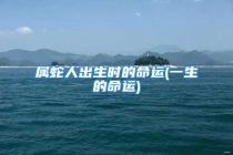 属蛇人出生时的命运(一生的命运)