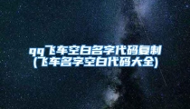 qq飞车空白名字代码复制(飞车名字空白代码大全)
