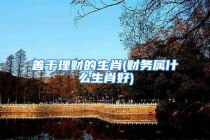 善于理财的生肖(财务属什么生肖好)