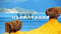 什么样的八字水多木漂