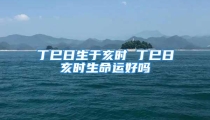 丁巳日生于亥时 丁巳日亥时生命运好吗