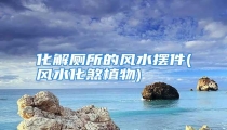 化解厕所的风水摆件(风水化煞植物)
