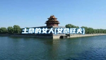 土命的女人(女命旺夫)