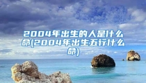 2004年出生的人是什么命(2004年出生五行什么命)