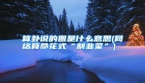 算卦说的圈是什么意思(网络算命花式“割韭菜”)