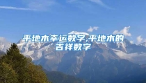 平地木幸运数字,平地木的吉祥数字